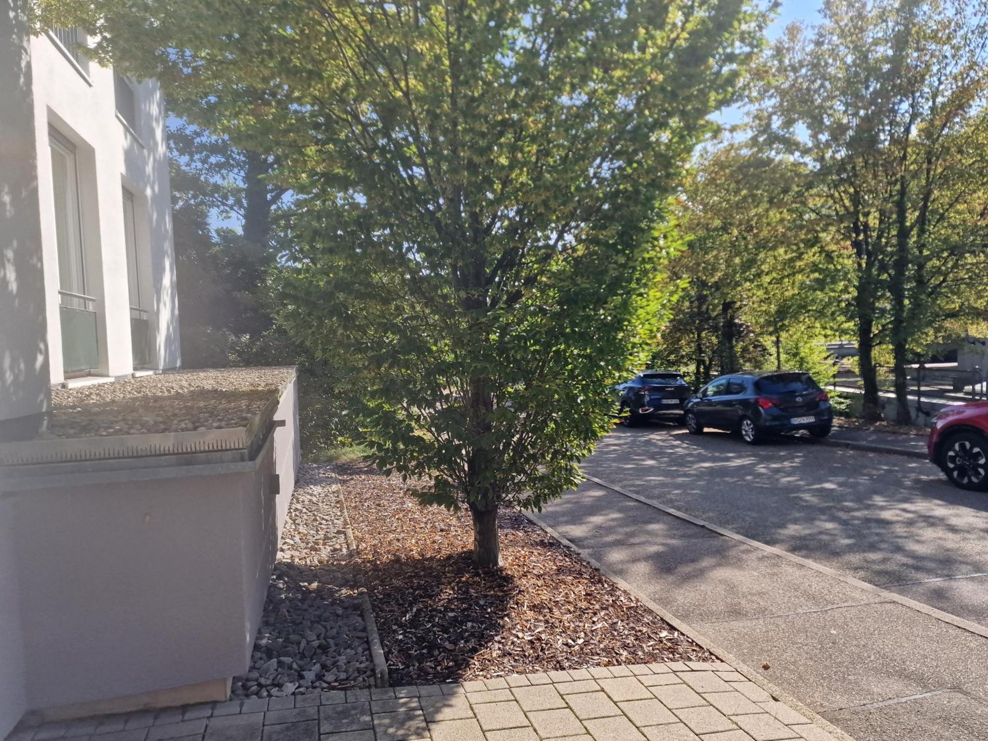 Sewer Apartment Baden-Baden Exterior foto